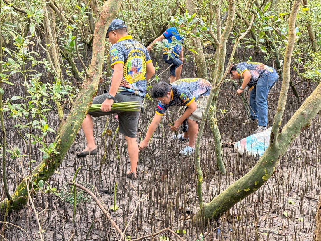 Silay Hombres Sagrados members planting mangroves
