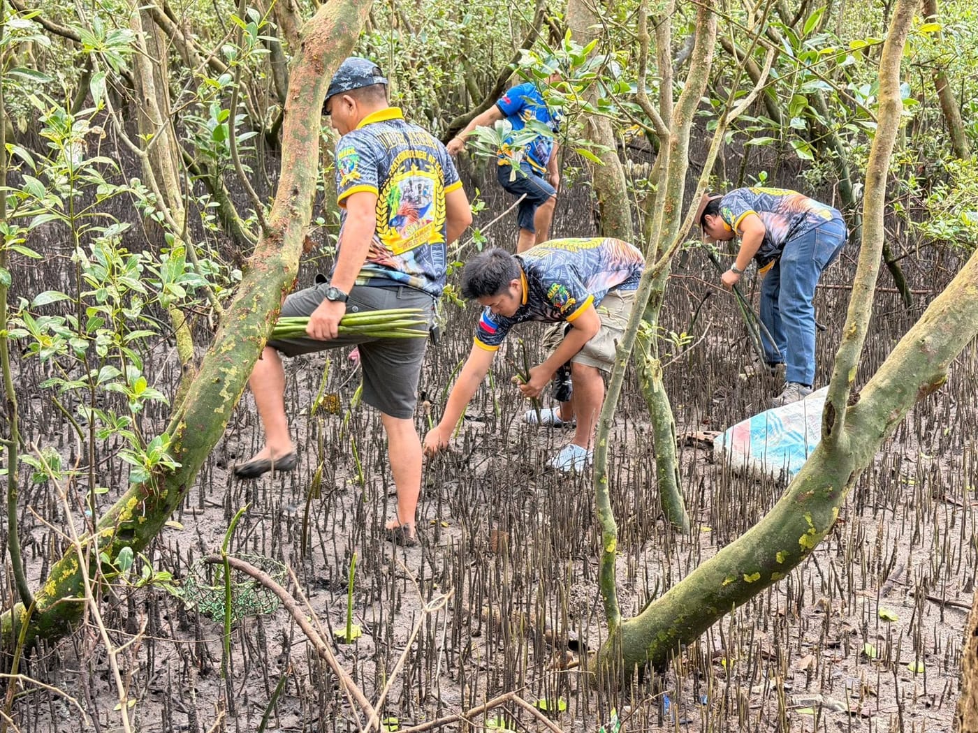 1st Mangrove Planting Activity